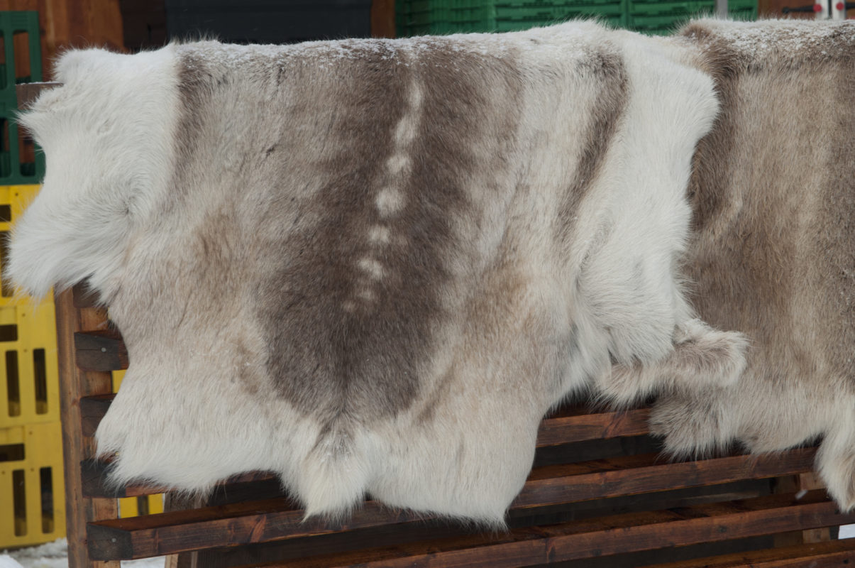Common Misconceptions About Cow Skin Rugs, Calf Skin Rug