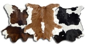 Calfskins