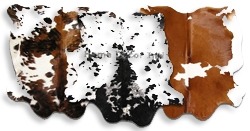 Colombian Cowhides