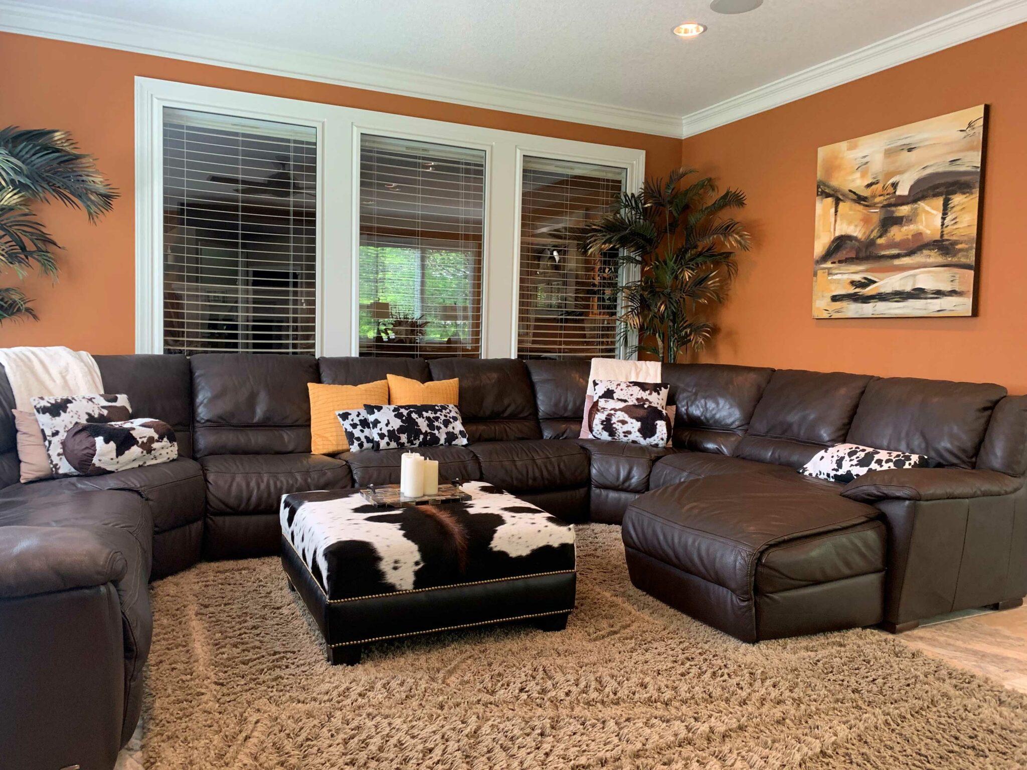 Cowhide Rugs - Premium Cowhide Photo Gallery - Cowhides International