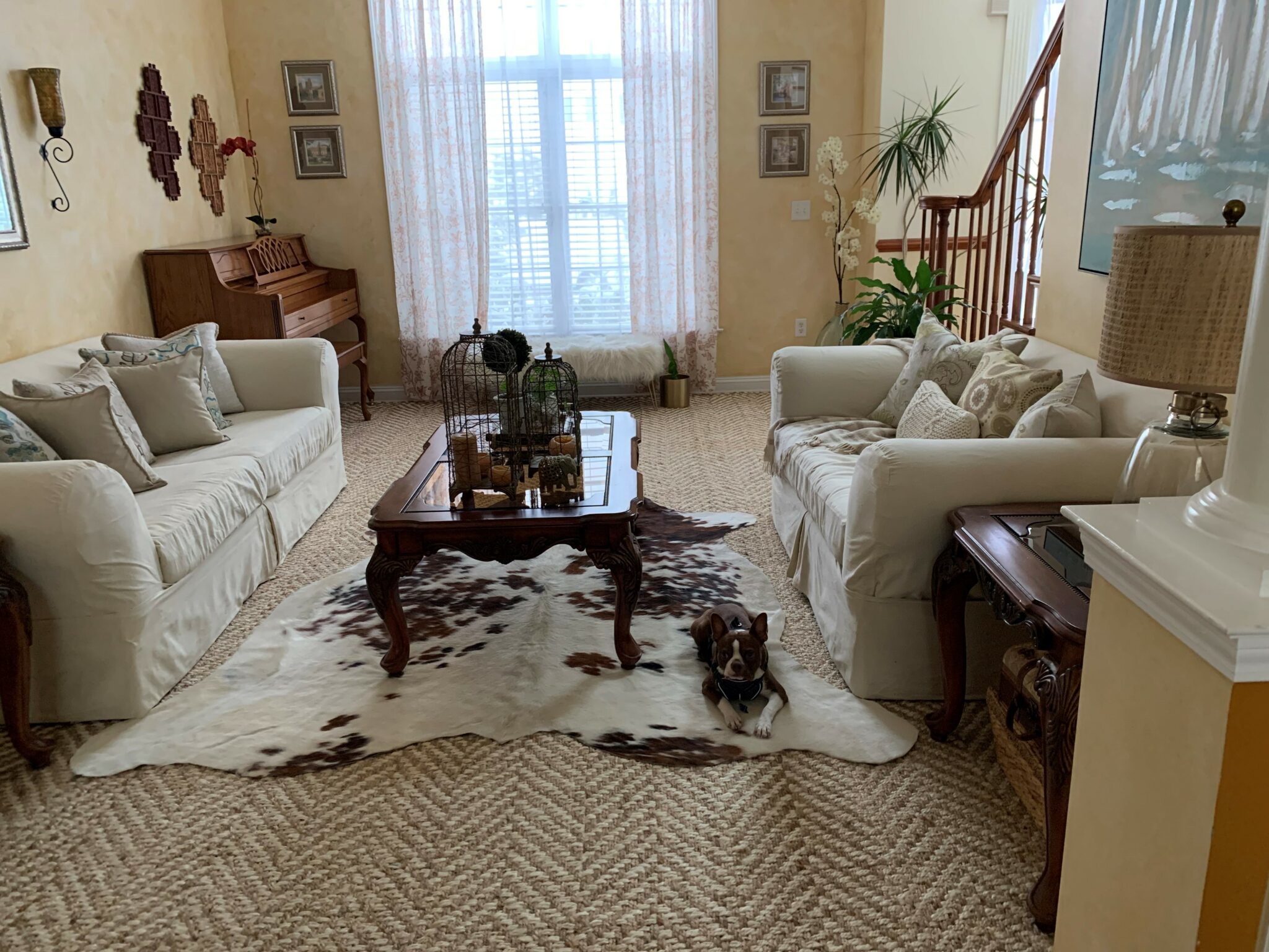 Cowhide Rugs - Premium Cowhide Photo Gallery - Cowhides International