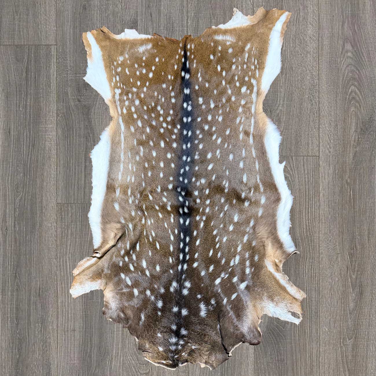 Axis Deer Hide