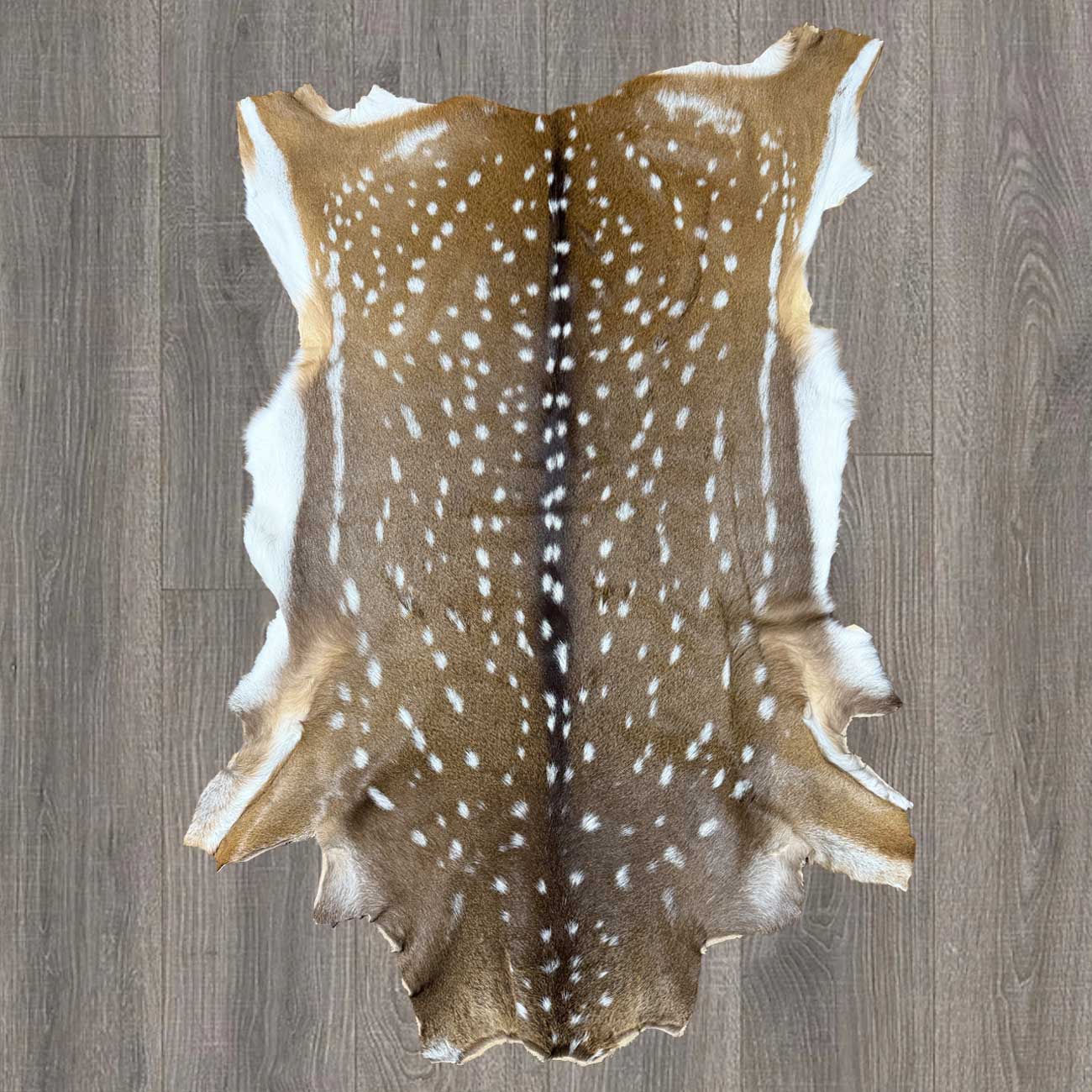 Axis Deer Hide