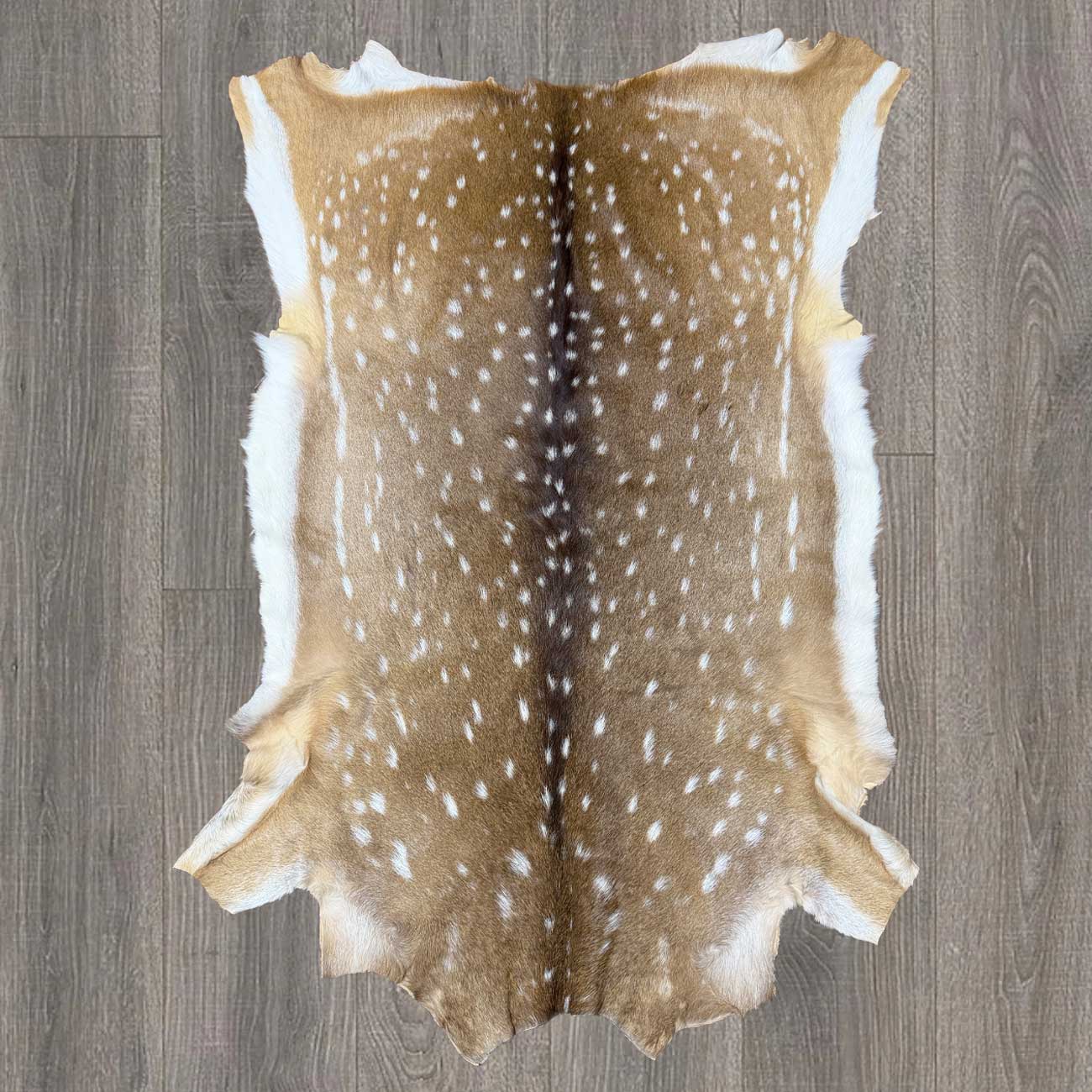 Axis Deer Hide